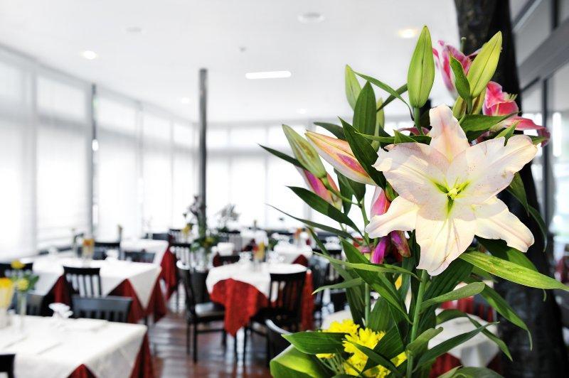 Hotel Florida Montecatini Terme